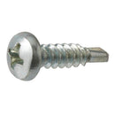 Pen Head Self-tapping Screw ST4.8x12