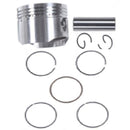 Piston and Piston Rings Set  (ATA 110D/D1)