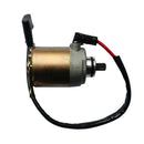 Starter Motor (Snow Leopard)