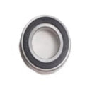 Ball Bearing 6007