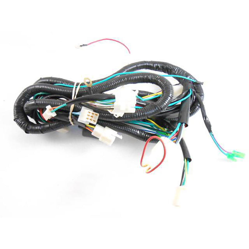 Wire Harness for New Speedy 50 and more