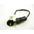 ATV Ignition Key Switch  (ATA 150 G)