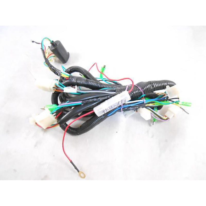 Wire Harness  (Thunder 50)