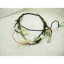 Wire Harness  (ATA 125 F1)