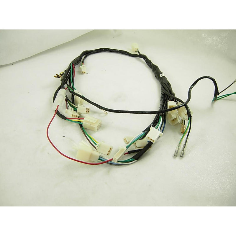 Wire Harness  (ATA 125 F1)