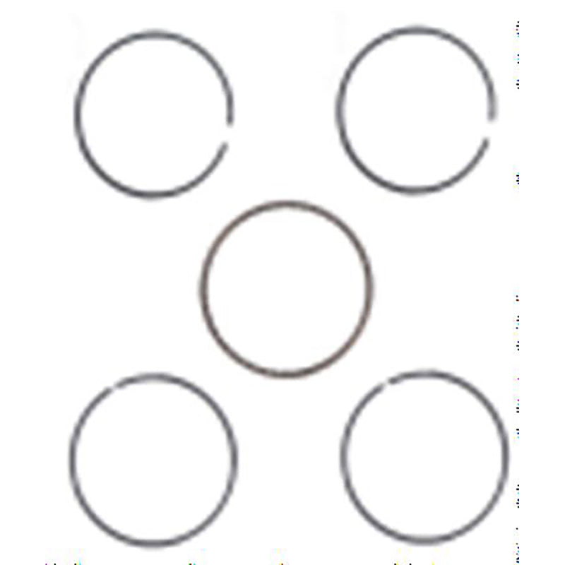 Piston Rings (ATA 110 D/D1)