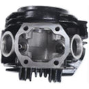 Cylinder Head  for ATA 110 D/D1 and more