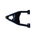 Lower Left A-Arm (RAPTOR)