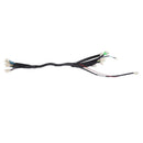 Wire Harness 36V (E1-500)