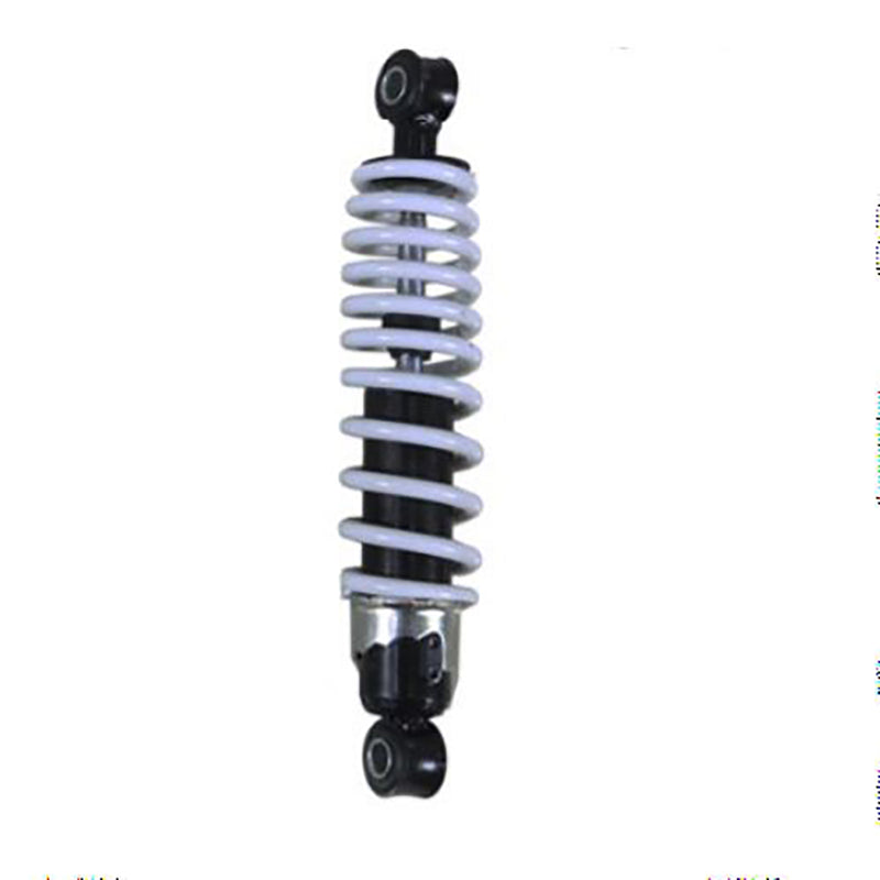 Front Shock Assembly (Single) 315mm for RAPTOR and more