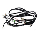 Wire Harness (ARROW 150)
